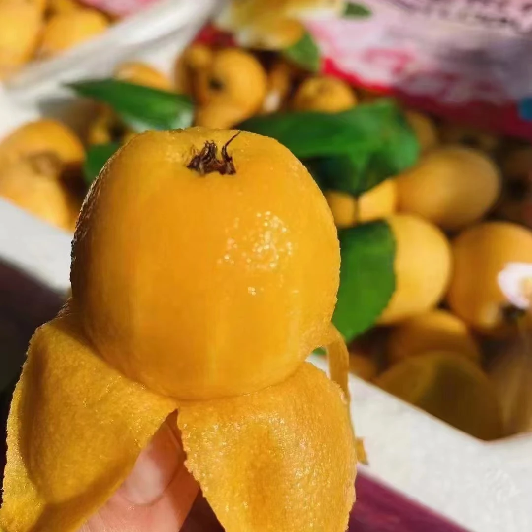 冰糖  大枇杷1-3斤  整箱