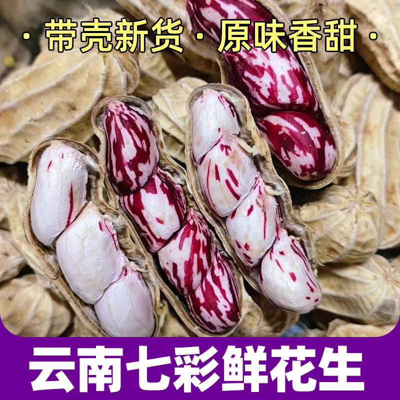 云南七彩鲜花生 颗粒饱满大果粒 1斤/2斤/3斤  生态种植甘甜好吃
