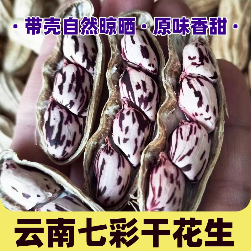 云南七彩（干）花生  甘香回甜  1斤/2斤/3斤  当季自然晒干