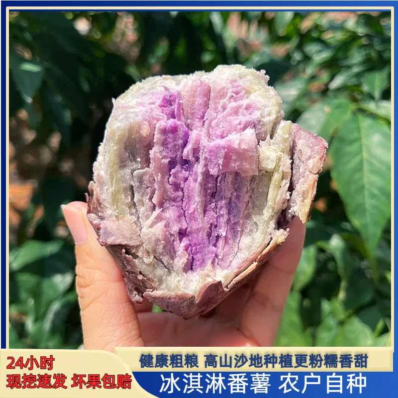 广东茂名正宗沙地一点红红薯冰淇淋番薯皮薄健康新鲜种植老少皆宜