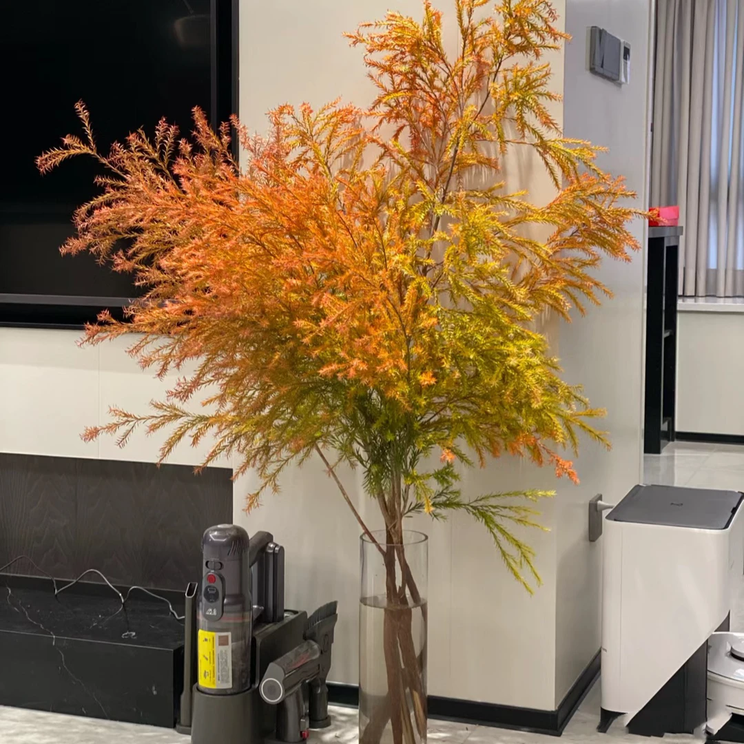 【冬日氛围小森林】天然植物香氛千层金鲜切水培家庭插瓶装饰木本