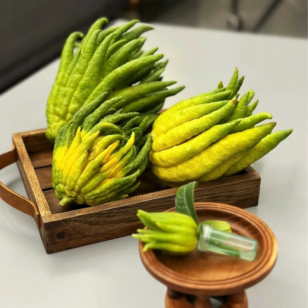 知否花笺专属【闻香佛手柑】云南基地现采现发 家居清供观赏