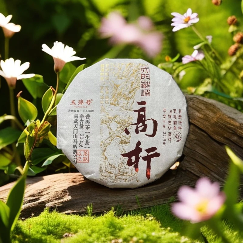 【以茶之铭】玉萍号·天门藏峰·高杆200g普洱生茶（带茶样）拆封不退