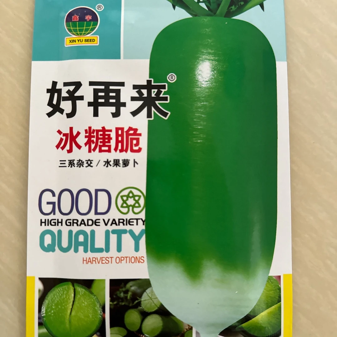 【种子】好再来冰糖脆水果萝卜籽（可大面积种）