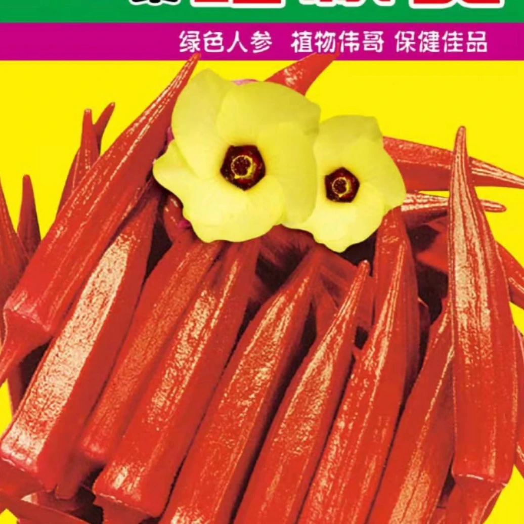 【种子】红秋葵籽株高叶大补肾益寿