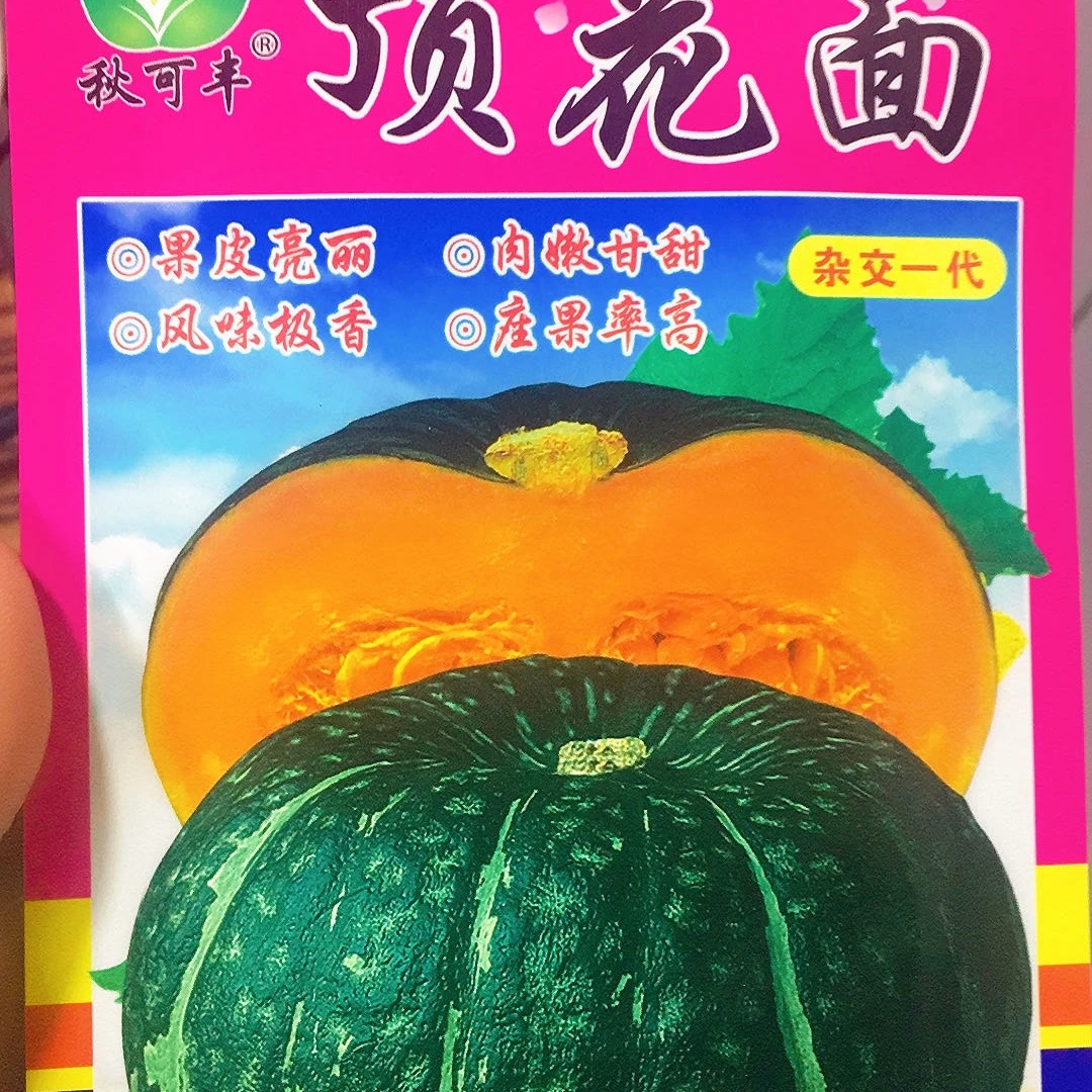 【种子】顶花面南瓜籽
