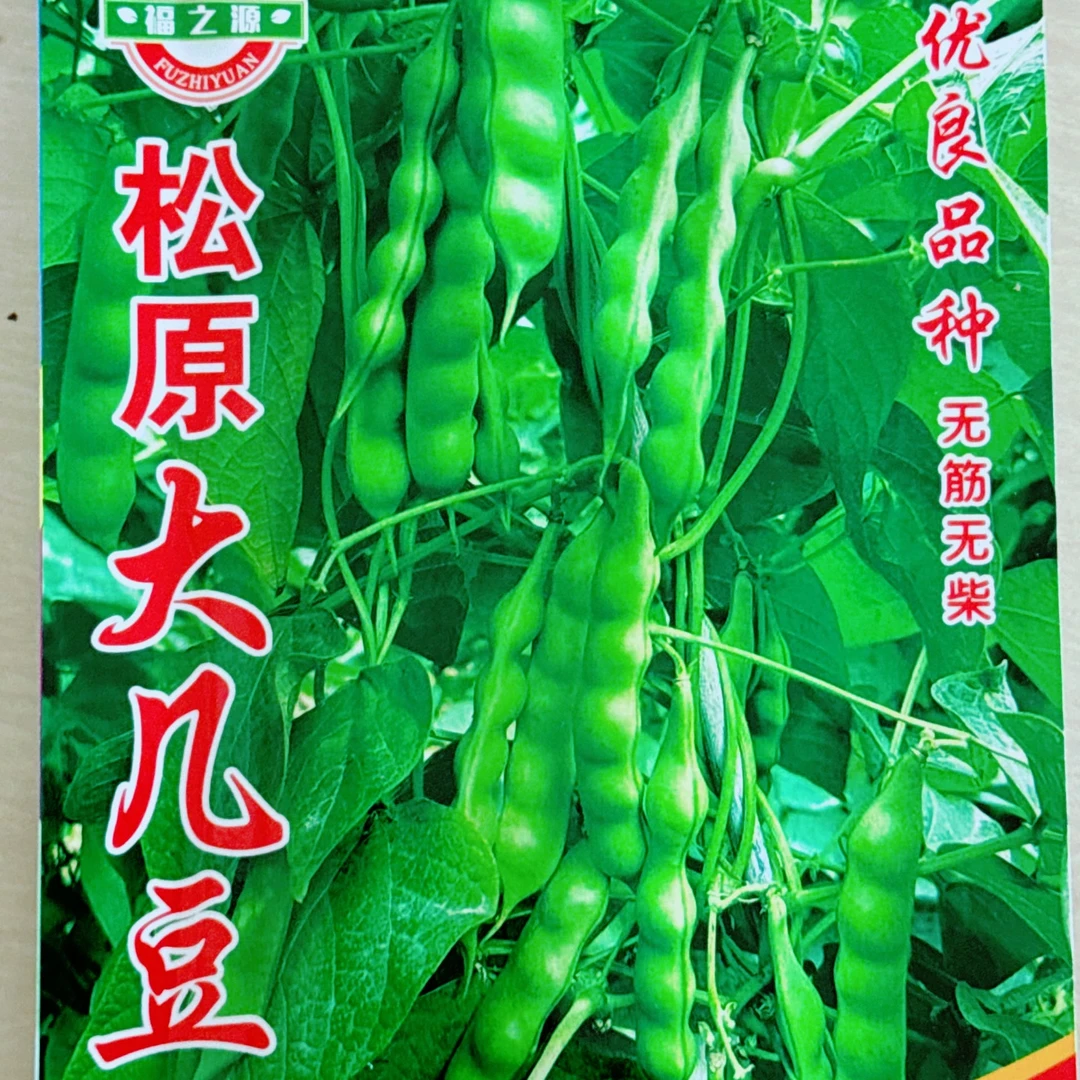 【种子】松原大几豆籽