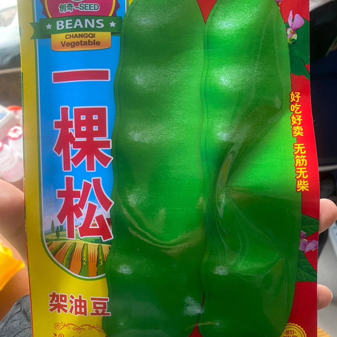 【种子】加宽肉厚一棵松油豆角籽