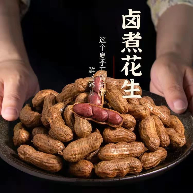 卤汁花生花生烧烤摊袋装零食小吃炒货煮花生水煮新鲜下酒菜500g包