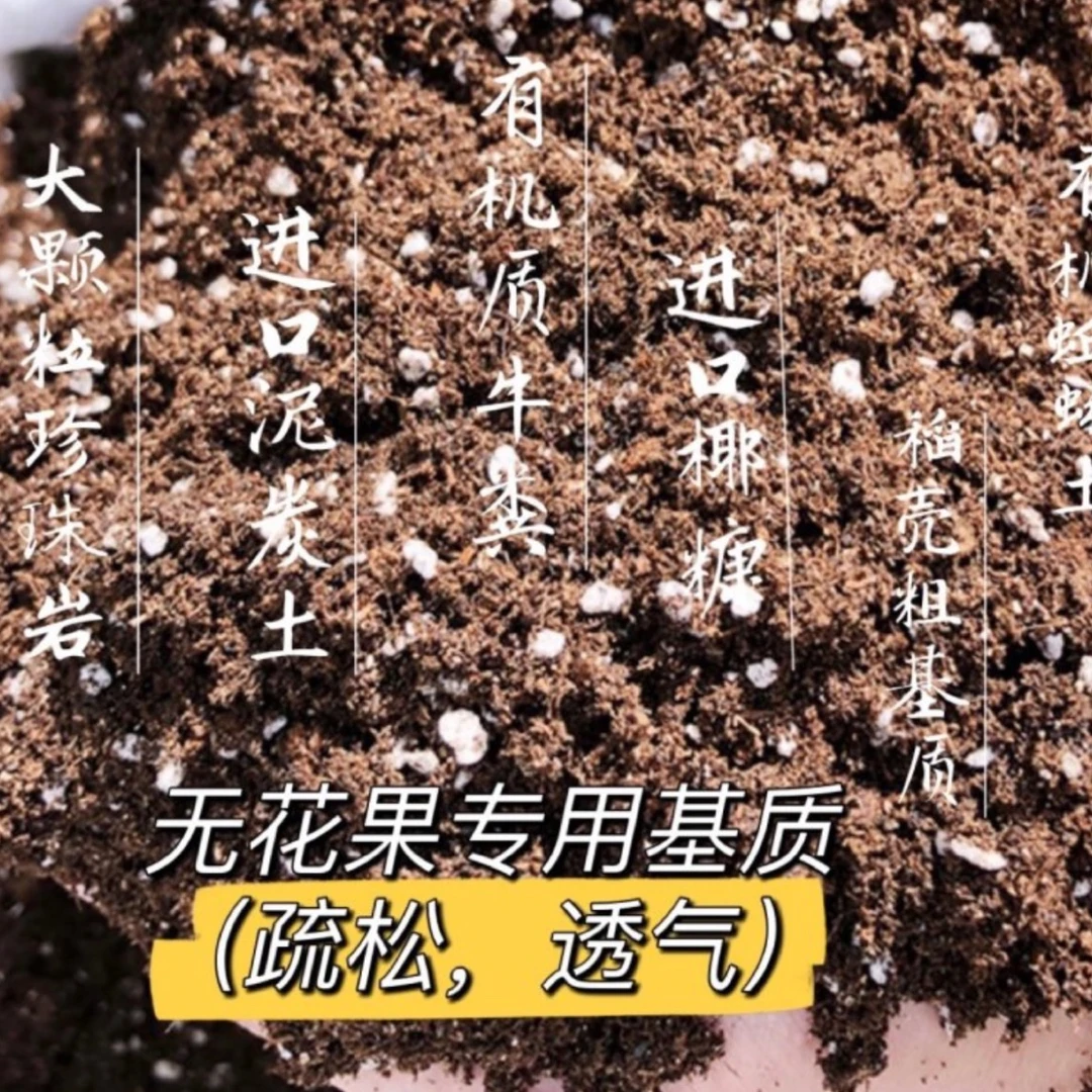 无花果迷配方土可直接用长势快透气疏松富含有机质配方基质土10升