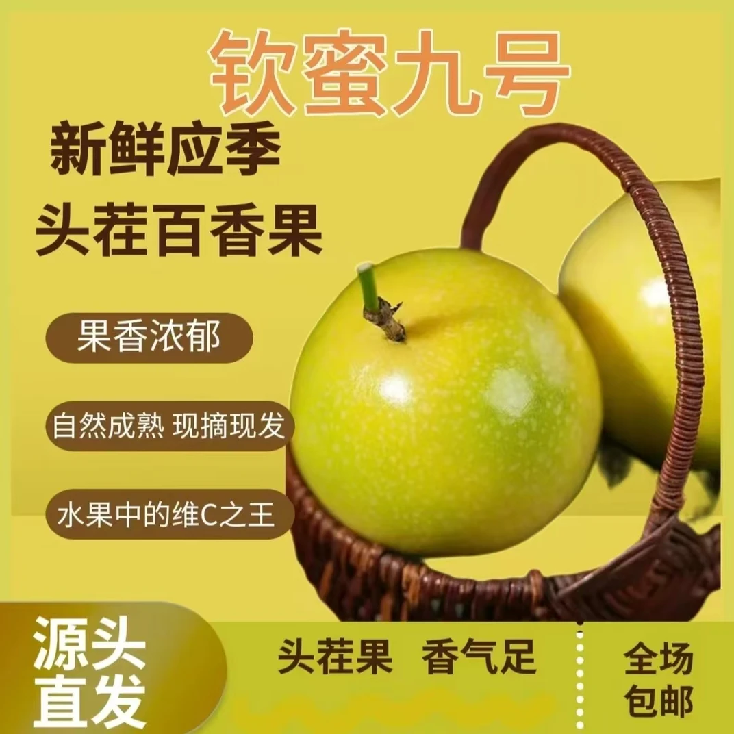【钦蜜九号黄金百香果】15个鸡蛋果 新鲜果园采摘纯甜新鲜中通包邮