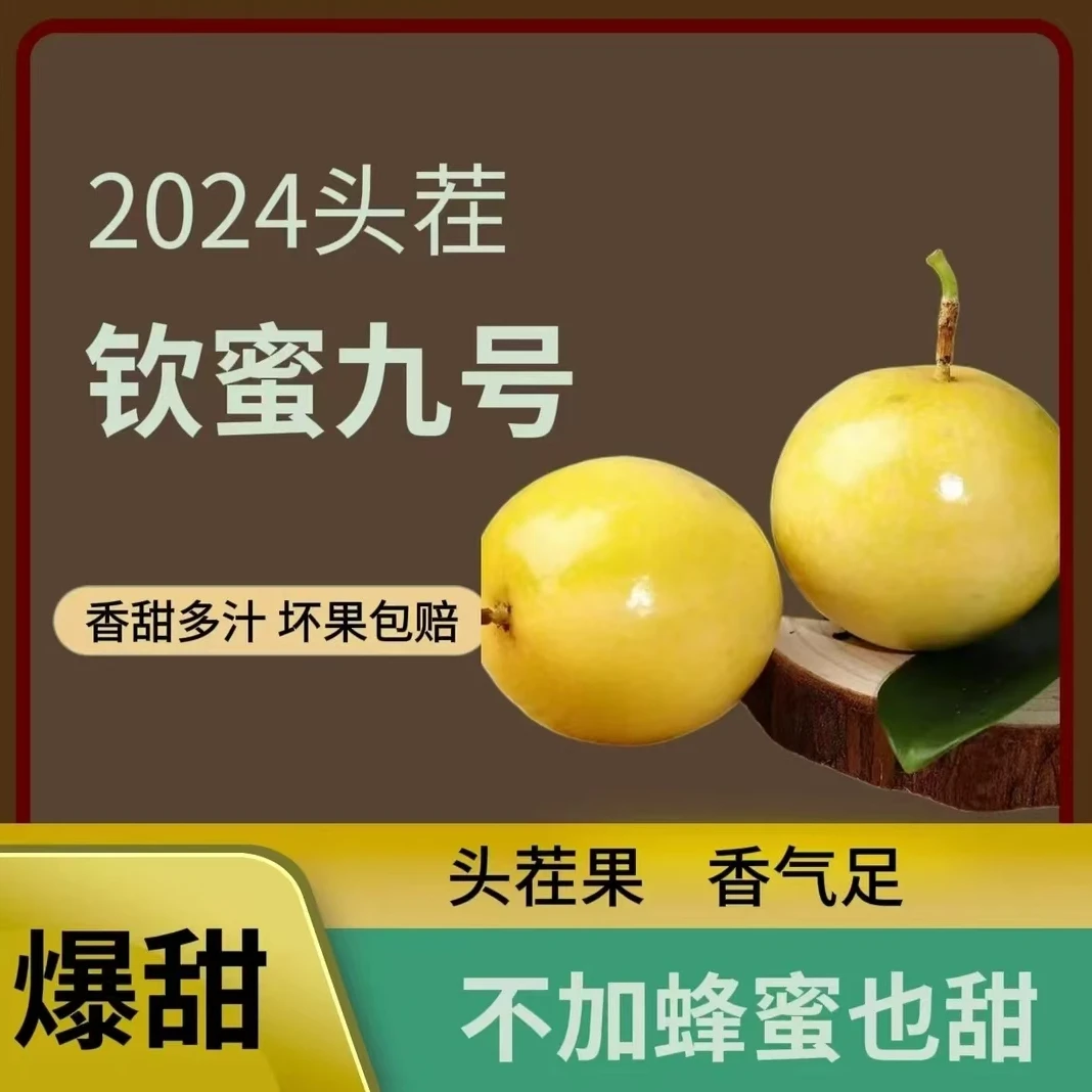 《五斤实惠装》新鲜果园采摘现发五斤精品大果