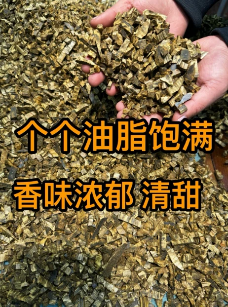 海南种植绿棋碎料香5克