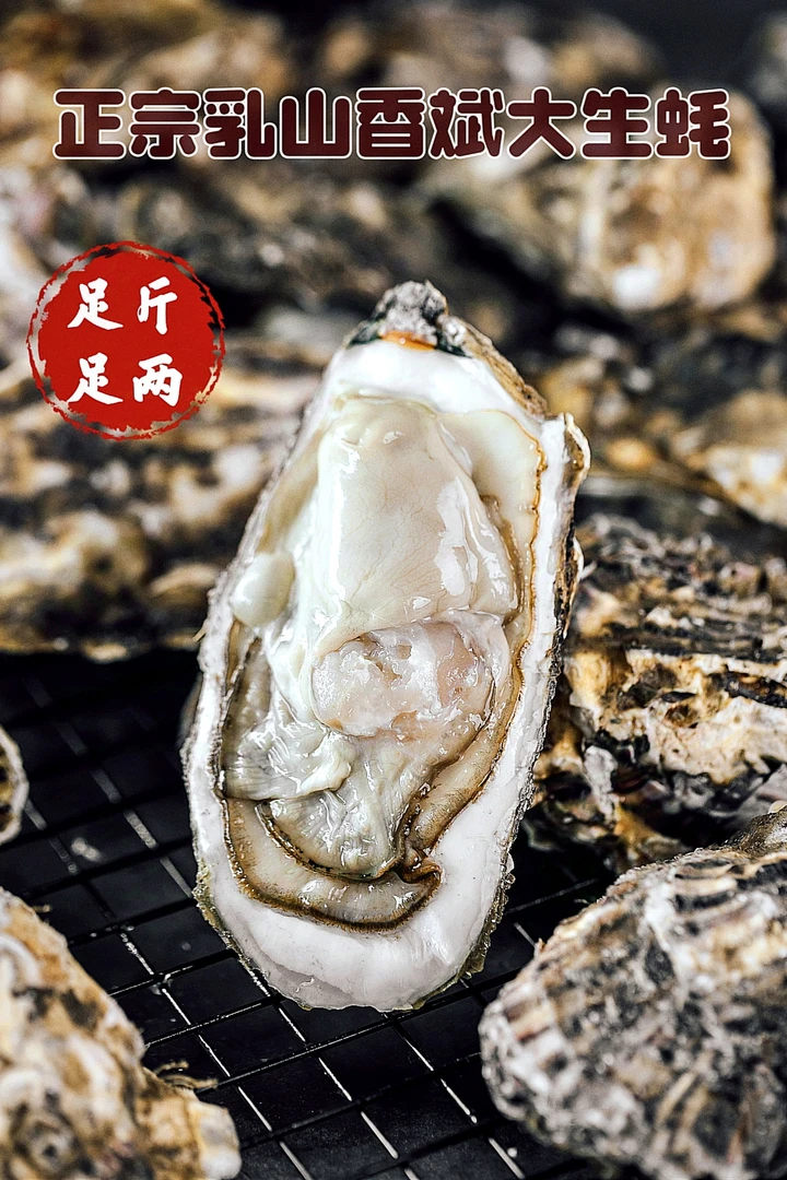 5两巨蚝10斤装乳山生蚝精品高端礼箱装包邮