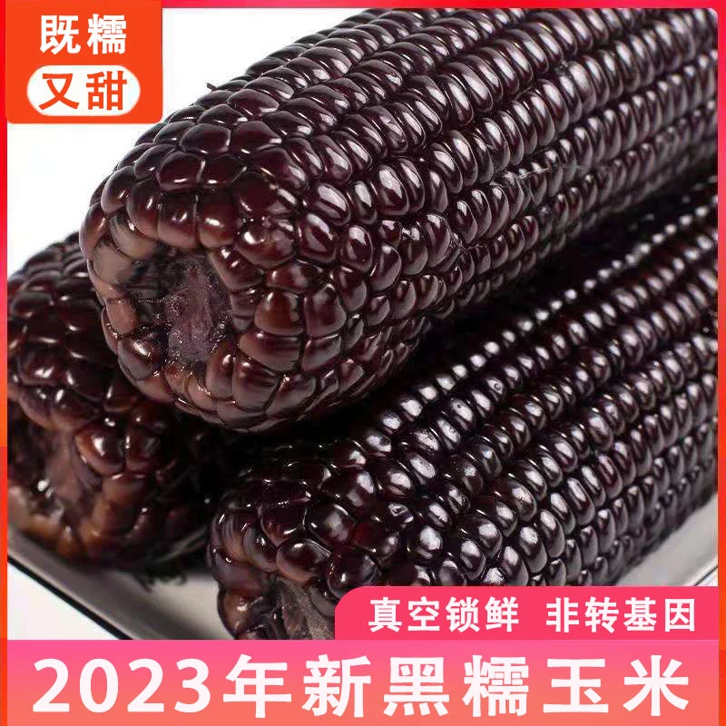 【2023年新】黑玉米真空包装早餐代餐粮粘糯鲜香甜玉米8支260-350克
