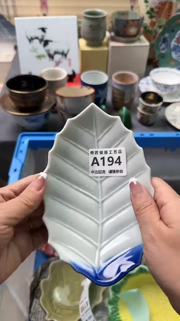 【闪购商品】密胺瓷片194