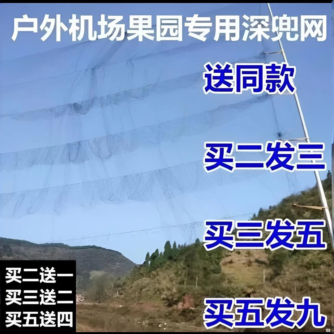 防鸟尼龙网粘网防护网农田果园机场防鸟网1.5孔防鸟网