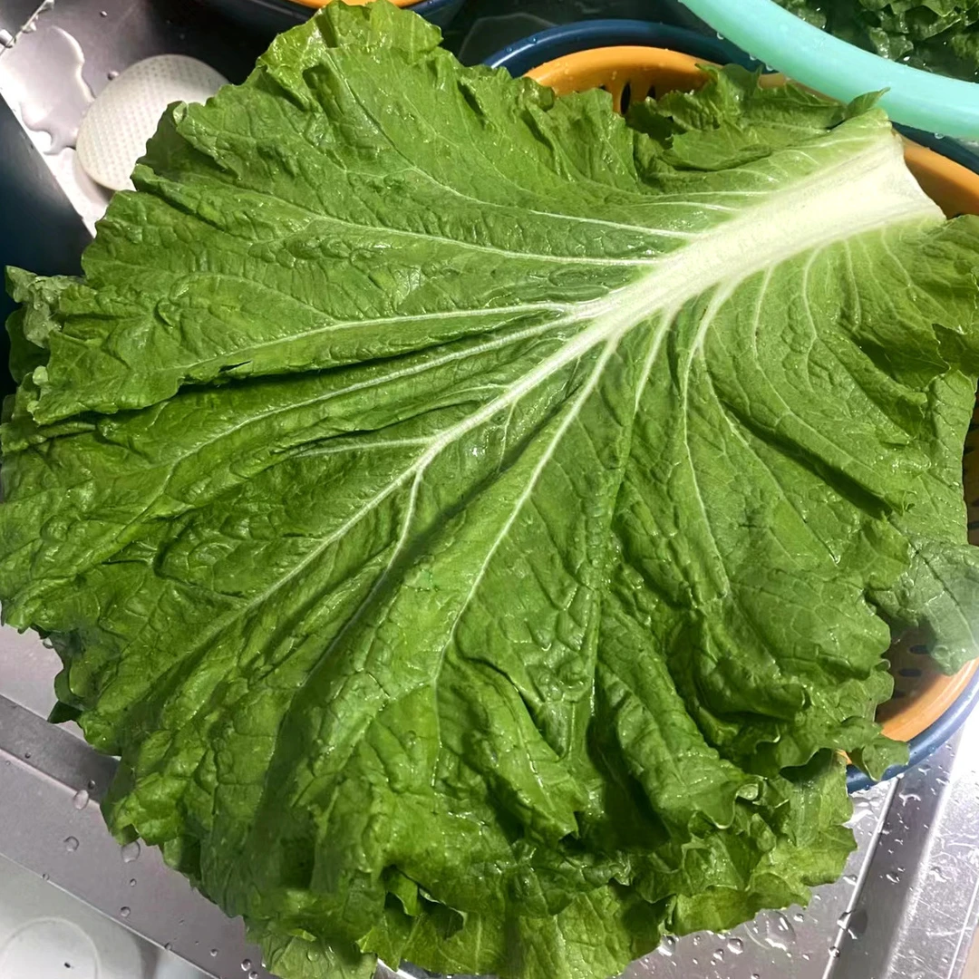 打包叶饭包叶东北饭包叶