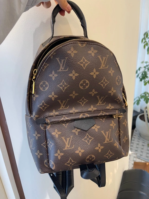 95新 LouisVuitton/路易威登 jyd lv老花书包小号双肩包