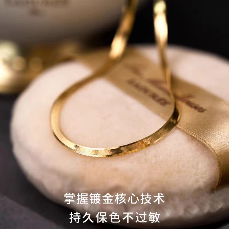 钛钢项链 蛇骨链项链女金色颈链高级感小众锁骨链xx-SJ43P2007