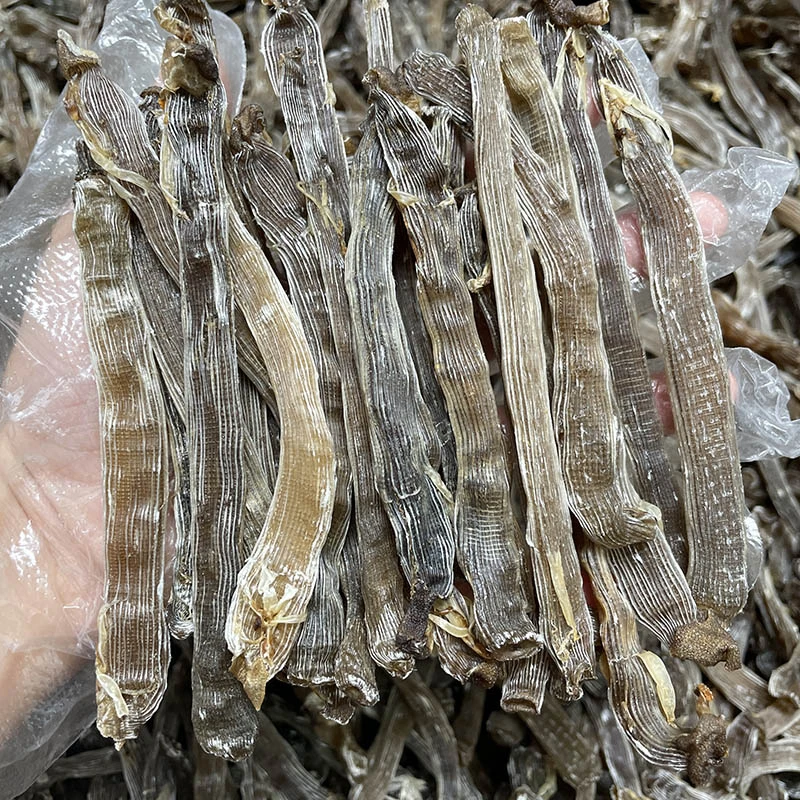 本港沙虫干现挖鲜晒野生深海大黑沙虫干煲汤煲粥鲜甜海鲜干货盐爆