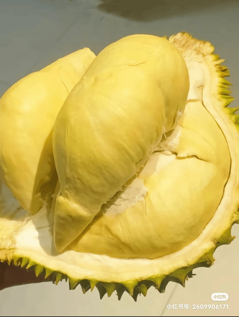 泰国金枕榴莲包熟包好吃39.9/斤【现称现拍】