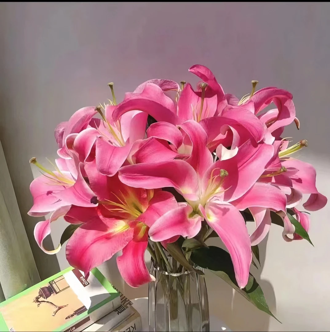 （罗宾娜）清香型百合鲜花办公室家用装饰花束观赏浪漫顺丰包邮