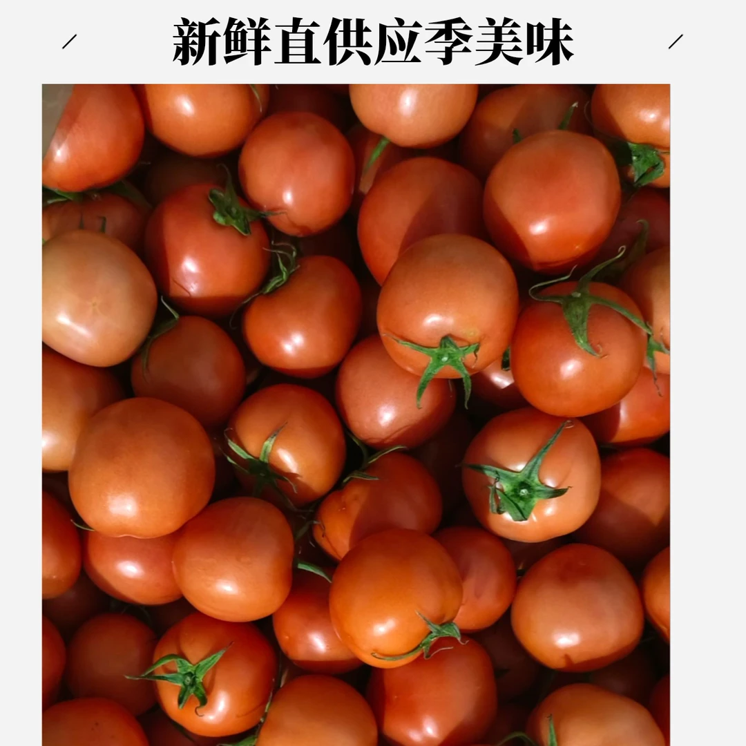 迷你沙瓤西红柿小果