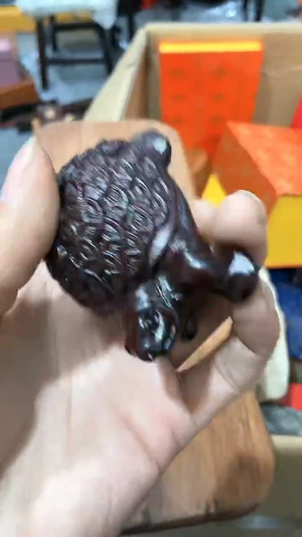 【闪购商品】HT 小金钱龟