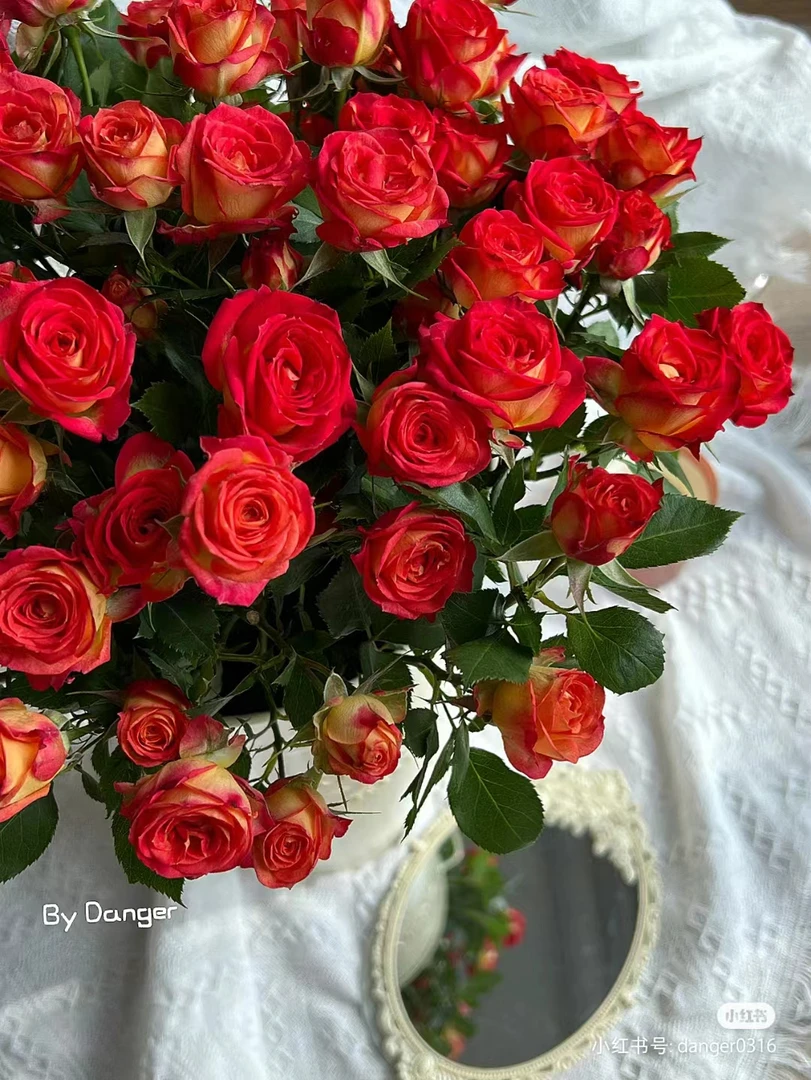 任意鲜花1扎