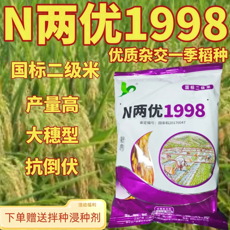 N两优1998 国审优质高产抗病抗倒杂交水稻种子一季中稻品种
