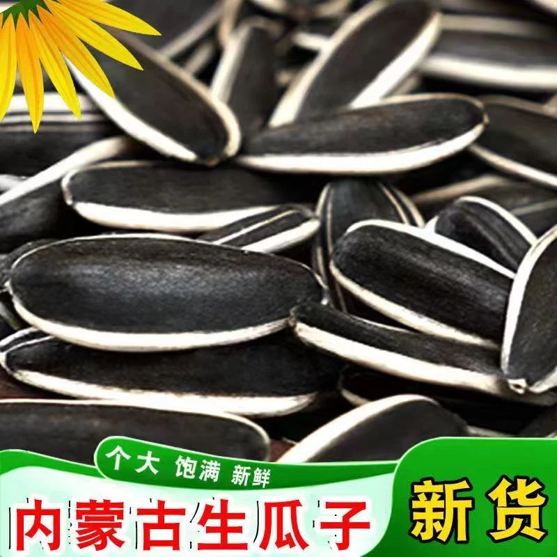 批发内蒙古2023新货生正宗优质大颗粒品种葵花子休闲好吃健康新鲜