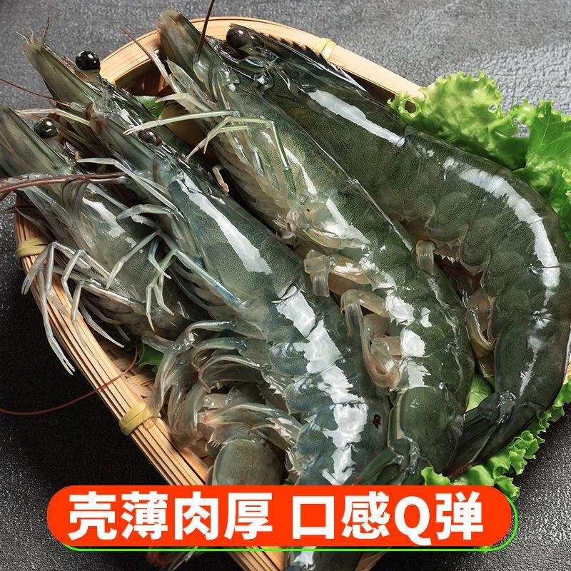 3斤 海洋海水虾 只只分离 盐冻工艺顺丰冷链  Y