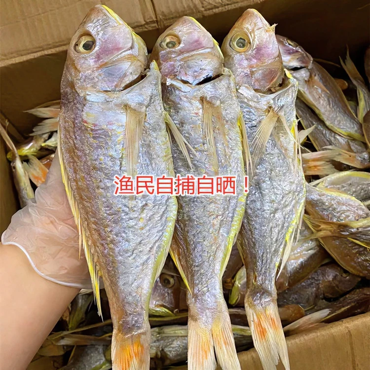 咸鱼干 大红三咸鱼 金三线鱼干 一夜埕阳江特色咸鱼500克晒干好货