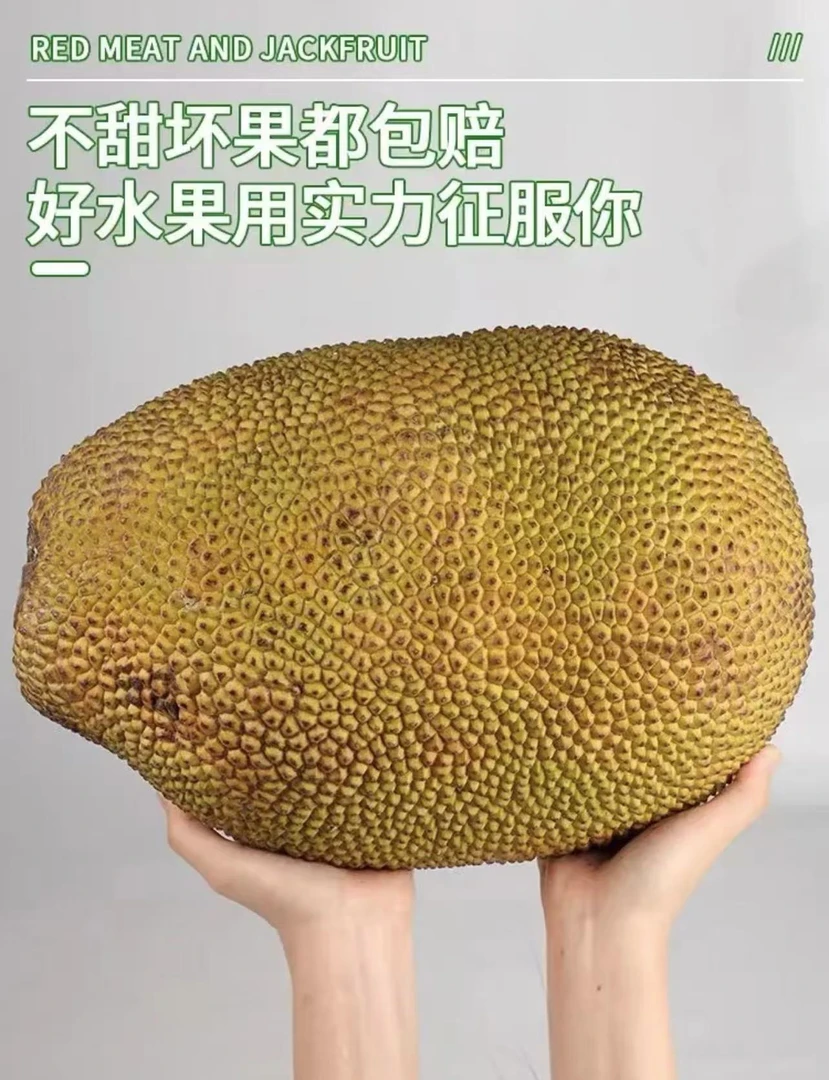 进口印泥红肉菠萝蜜【顺丰包邮】次日送达