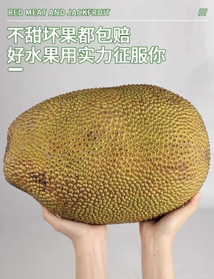 印泥红肉菠萝蜜 超级好吃