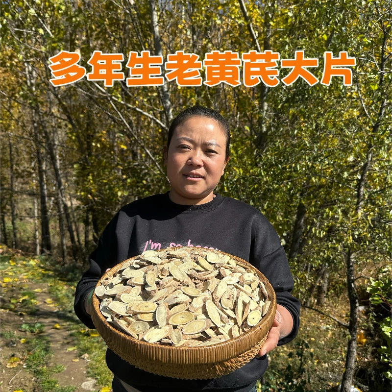 甘肃岷县十五年左右老黄芪主根切片