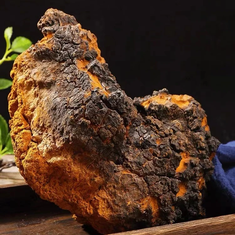 【大妹山货】现收山货【桦树茸】