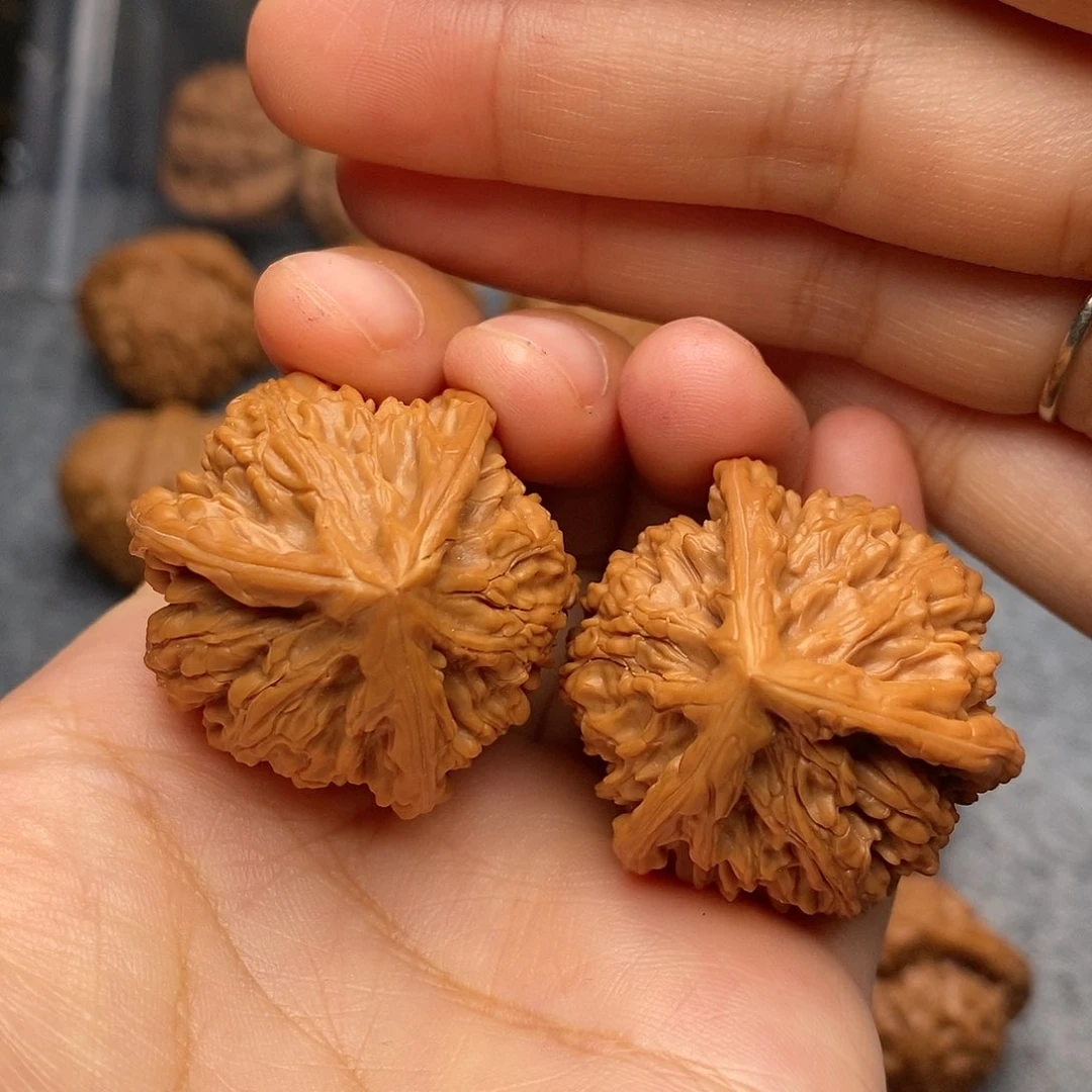 文玩核桃把件御龙粗筋36尺