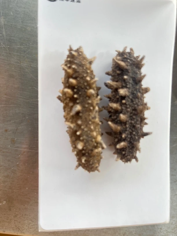 古法加工的自然晾晒淡干海参100g试发装