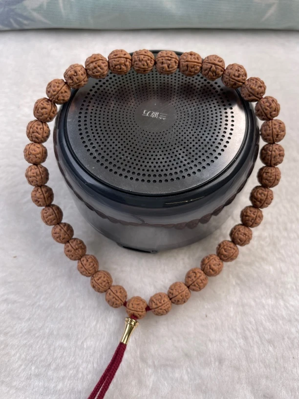 【瑞欣·甄选】  金刚菩提 原桩纯血  云端盘龙手持