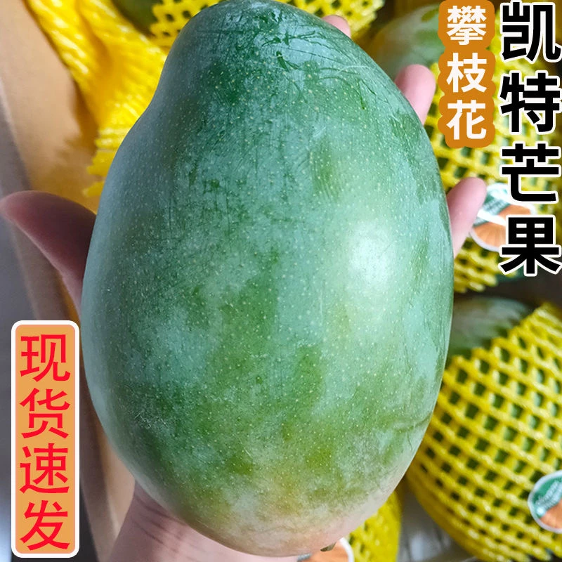 【放软食用】四川攀枝花凯特大芒果带箱9斤整箱新鲜水果芒果香甜