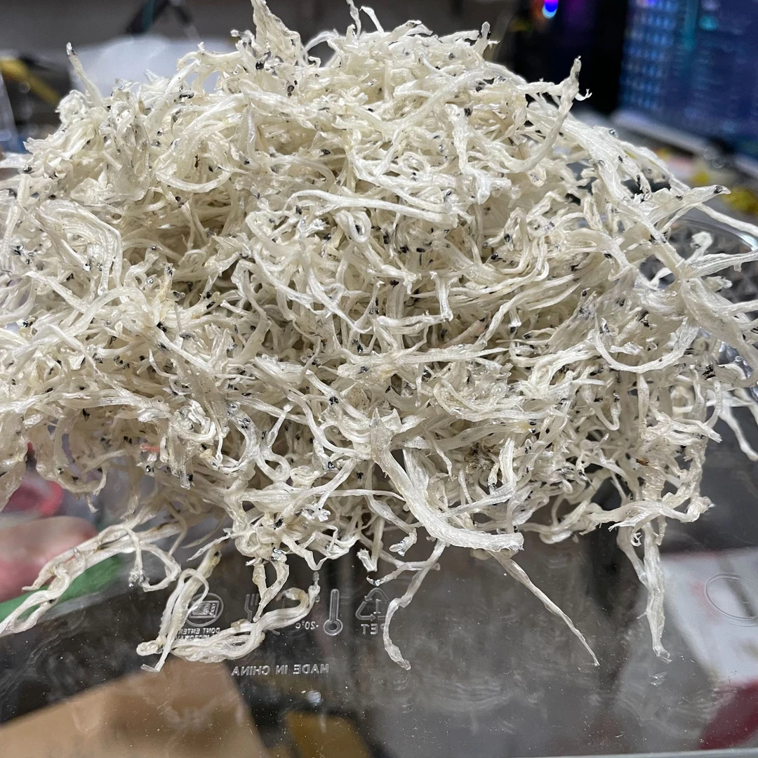 足干银鱼仔 白饭鱼白帆鱼 淡口不咸