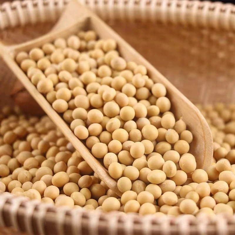 黄豆各种农副产品