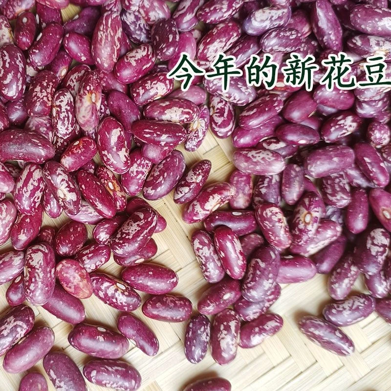 贵州酸菜豆米新花豆云豆芸豆豆子四季豆贵州花豆新豆农家自种