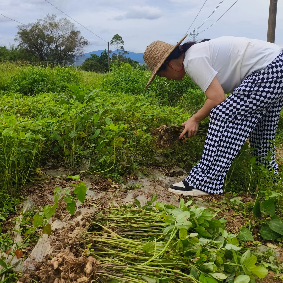 【2024年新采摘】广东农家水煮白玉咸干花生零食带壳熟花生坚果小吃