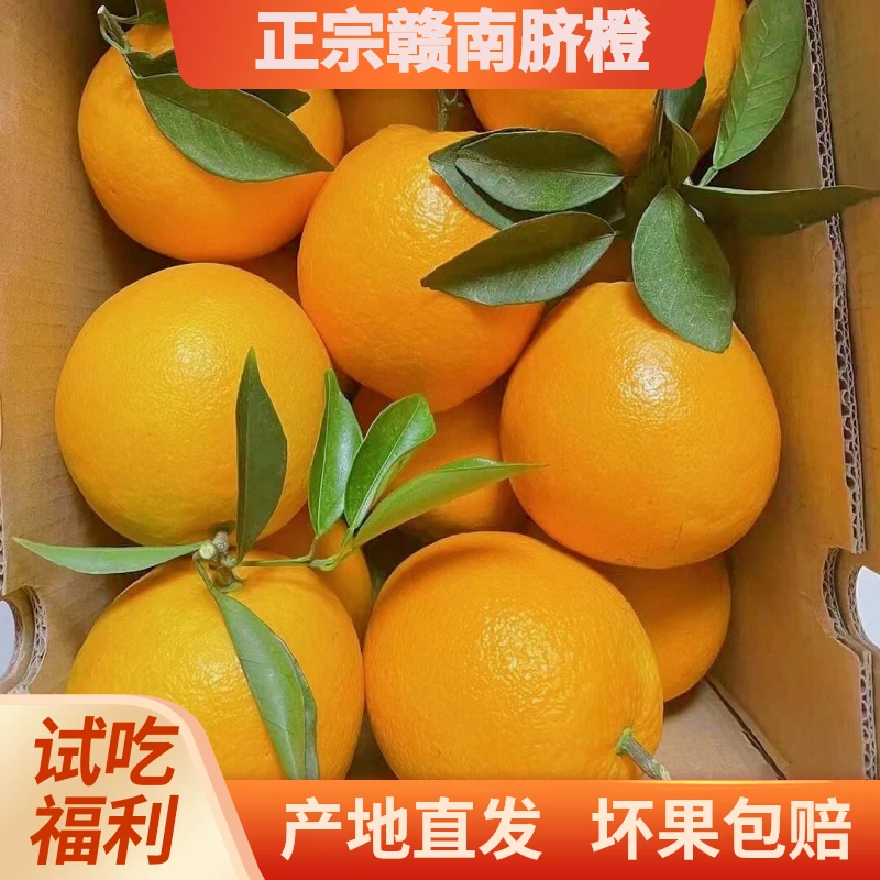 【不甜包赔】江西赣南脐橙产地现摘现发香甜多汁脐橙手剥橙整箱水