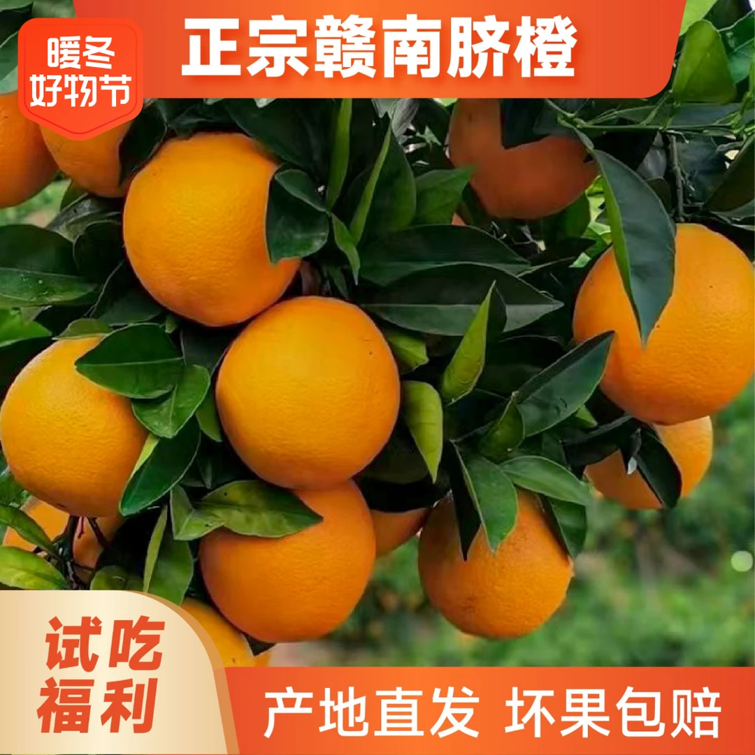 【坏果包赔】江西赣南脐橙产地现摘现发香甜多汁脐橙手剥橙整箱阳