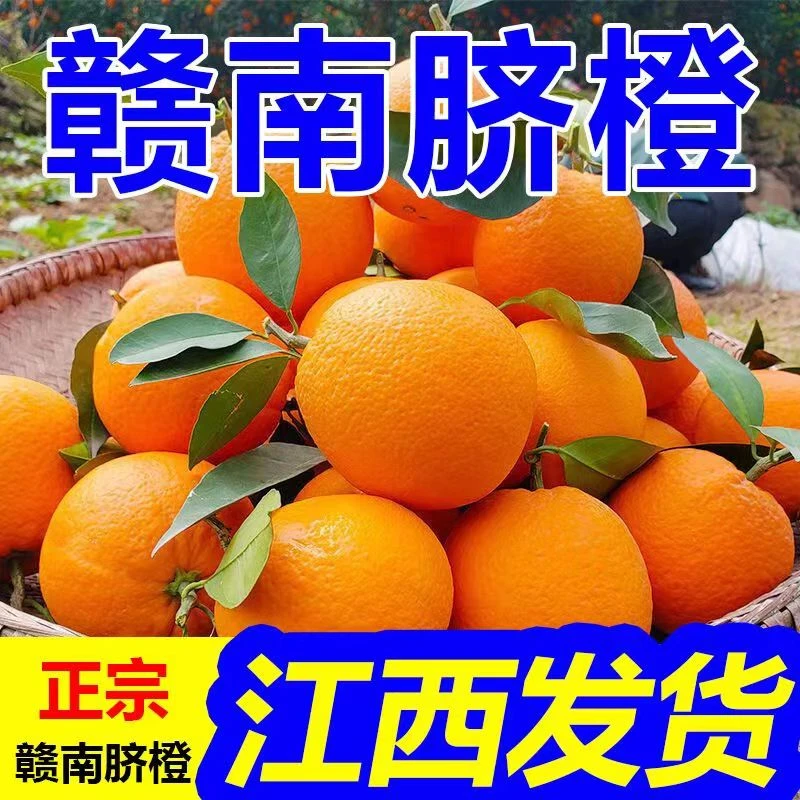 产地当季正宗脐橙新鲜橙子宝妈香甜水果非榨汁橘赣南脐橙