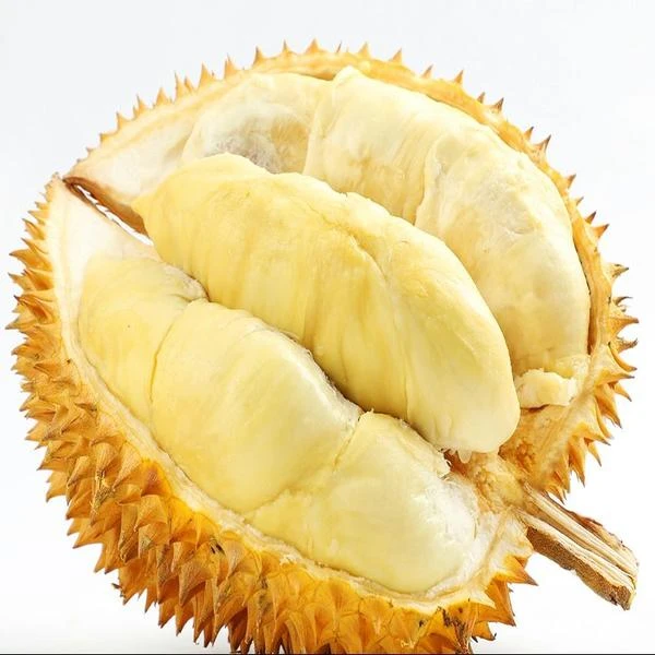 一物一拍空运树熟金枕榴莲